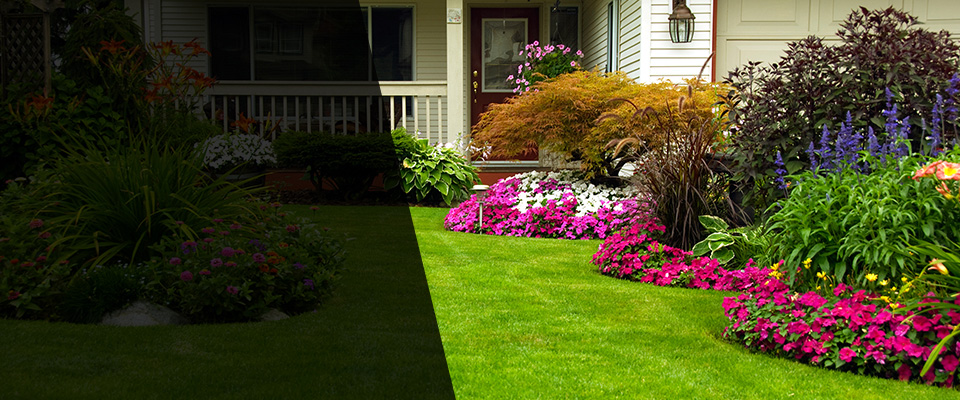 Ethel Landscapers